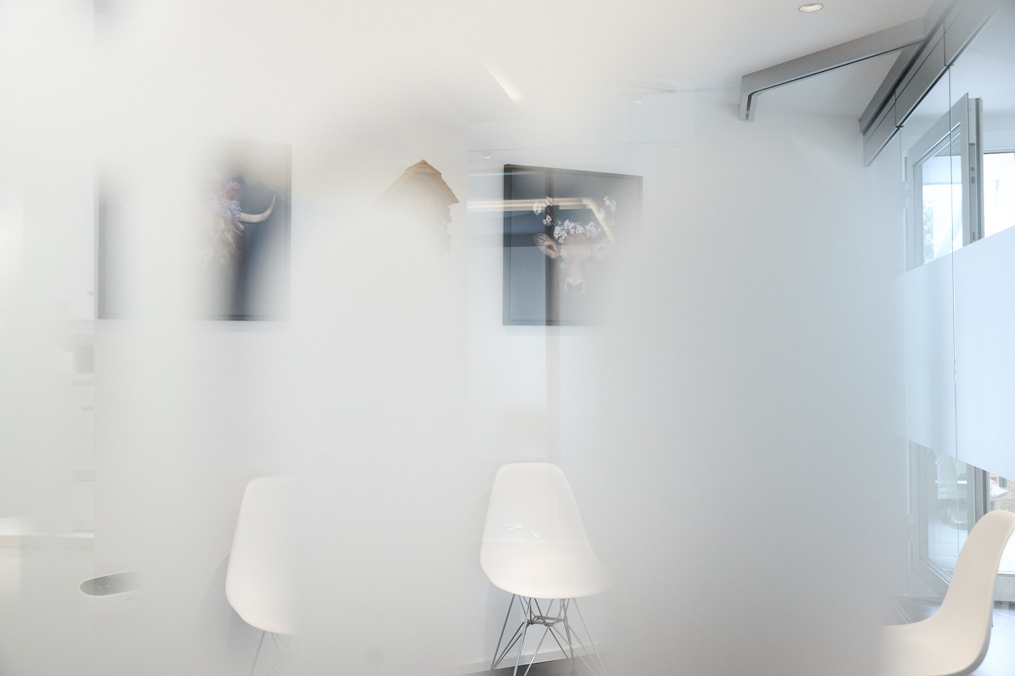 Bild ohne Beschreibung